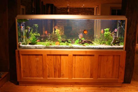 Amazon.com: 55 Gallon Fish Tank.